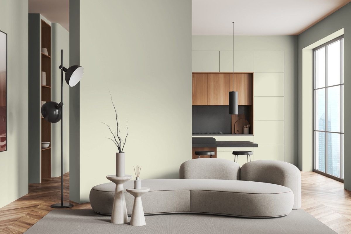 Vopsea Premium Little Greene – Mirror – matt absolute(219) – 2,5L